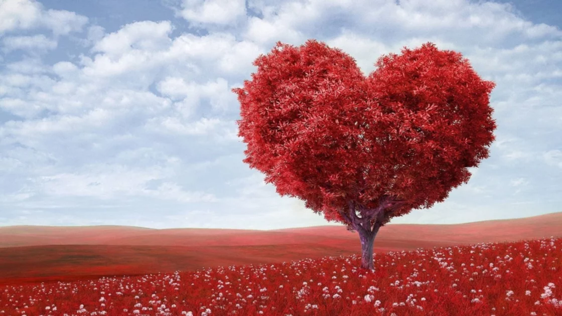Día del amor | 6 lugares que puedes visitar con tu pareja para tener una cita perfecta