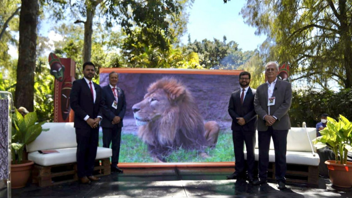 Institución financiera y el zoológico La Aurora se unen para educar sobre la fauna en peligro de extinción