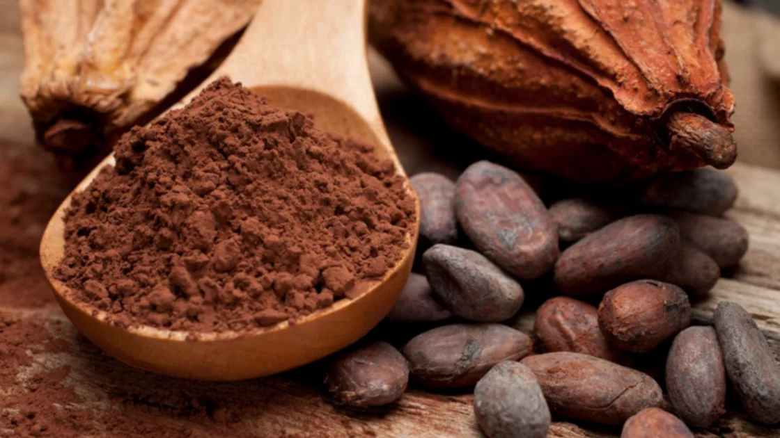 El cacao salvadoreño alcanza precios históricos en el mercado internacional. Fotografía: Data Export