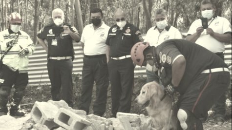 Fallece Neto, miembro de la Unidad Canina de Rescate de los Bomberos Municipales Departamentales (Foto: ASONBOMD)