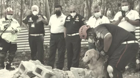 Fallece Neto, miembro de la Unidad Canina de Rescate de los Bomberos Municipales Departamentales (Foto: ASONBOMD)