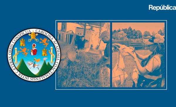 USAC: un rector cuestionado y varios animales maltratados