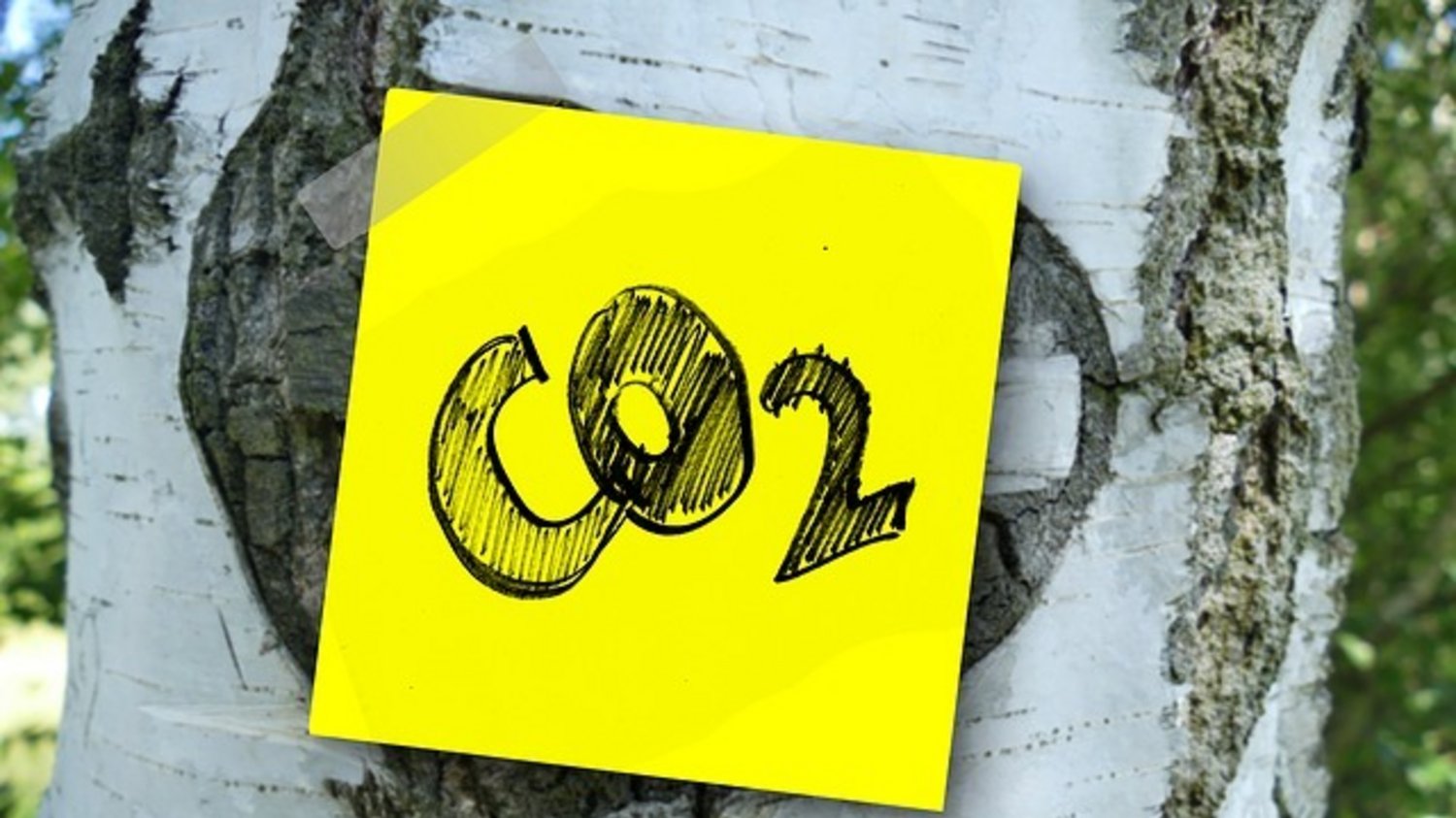 Gobierno anuncia proceso para reducir emisiones de carbono y mesa para discutir el uso del agua Gobierno anuncia proceso para reducir emisiones de carbono y mesa para discutir el uso del agua