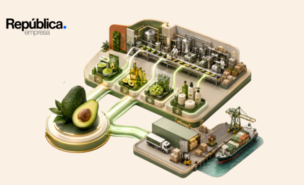 El aguacate Hass da su mejor versión sin cáscara ni cajón