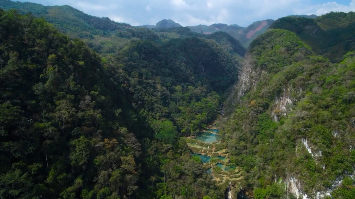 Bosques protegidos Bosques protegidos
