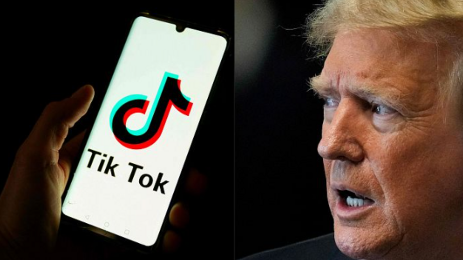 Donald Trump se unió a la plataforma y ya suma más de 2.6 millones de seguidores. Donald Trump se unió a la plataforma y ya suma más de 2.6 millones de seguidores.