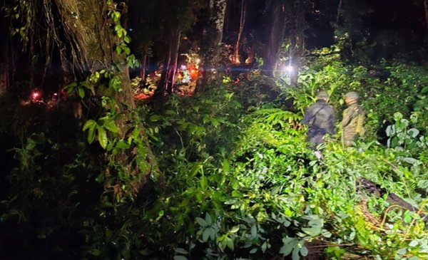 Coca en Ixcán, Quiché, evidencia cambio en rutas y