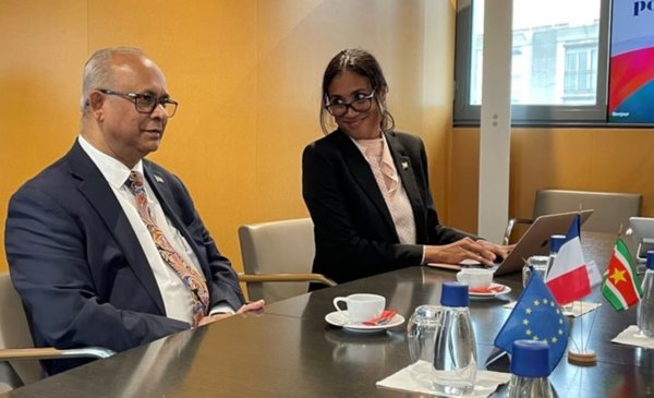 Crisis inédita sacude a la OEA tras la caída de la