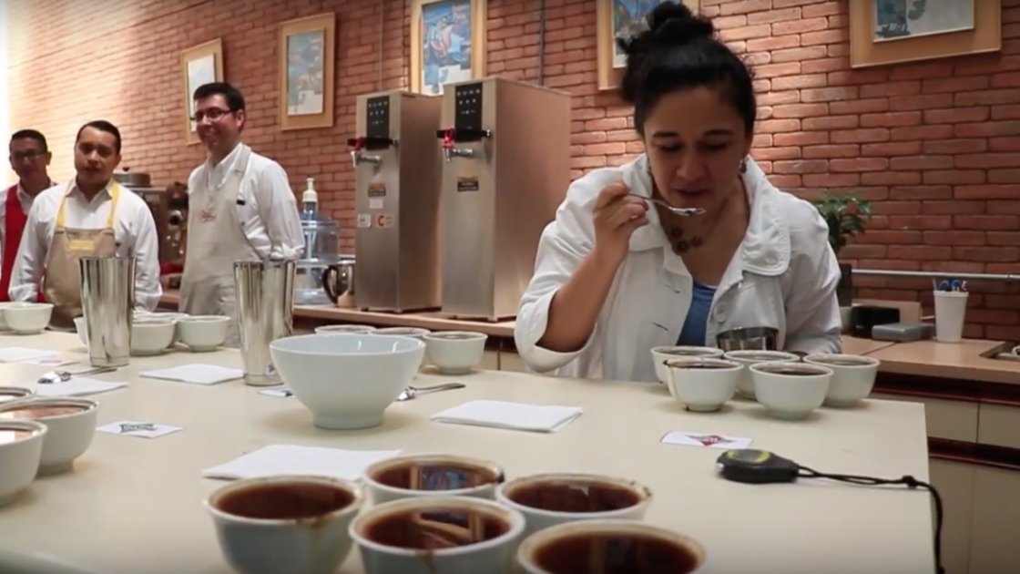 Análisis de catación permite evaluar atributos y características del café