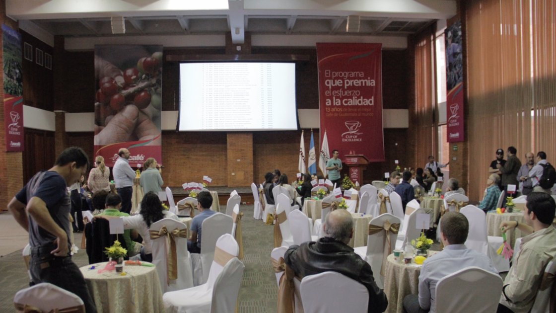 Subasta Cup Of Excellence cotizó a estos precios el café nacional