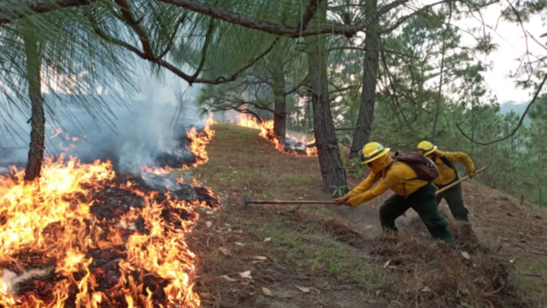Conred confirma 31 incendios forestales activos en Guatemala