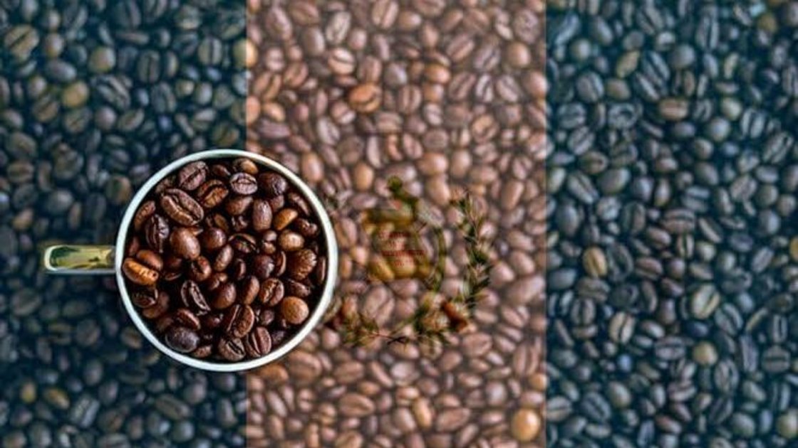 Cualidades curativas del café que no conocías