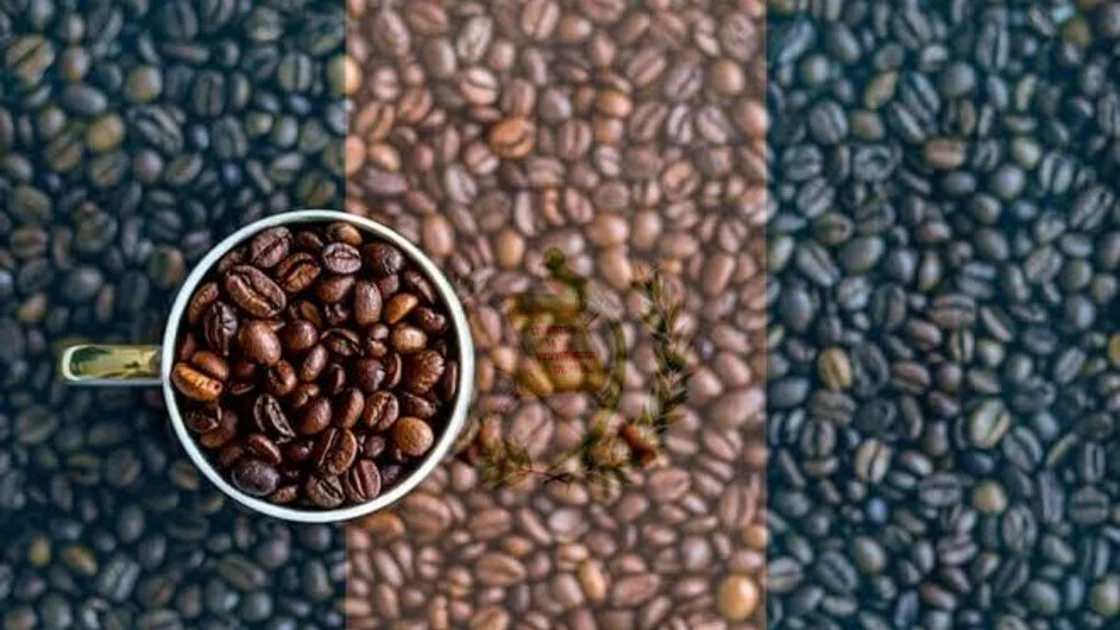 Cualidades curativas del café que no conocías