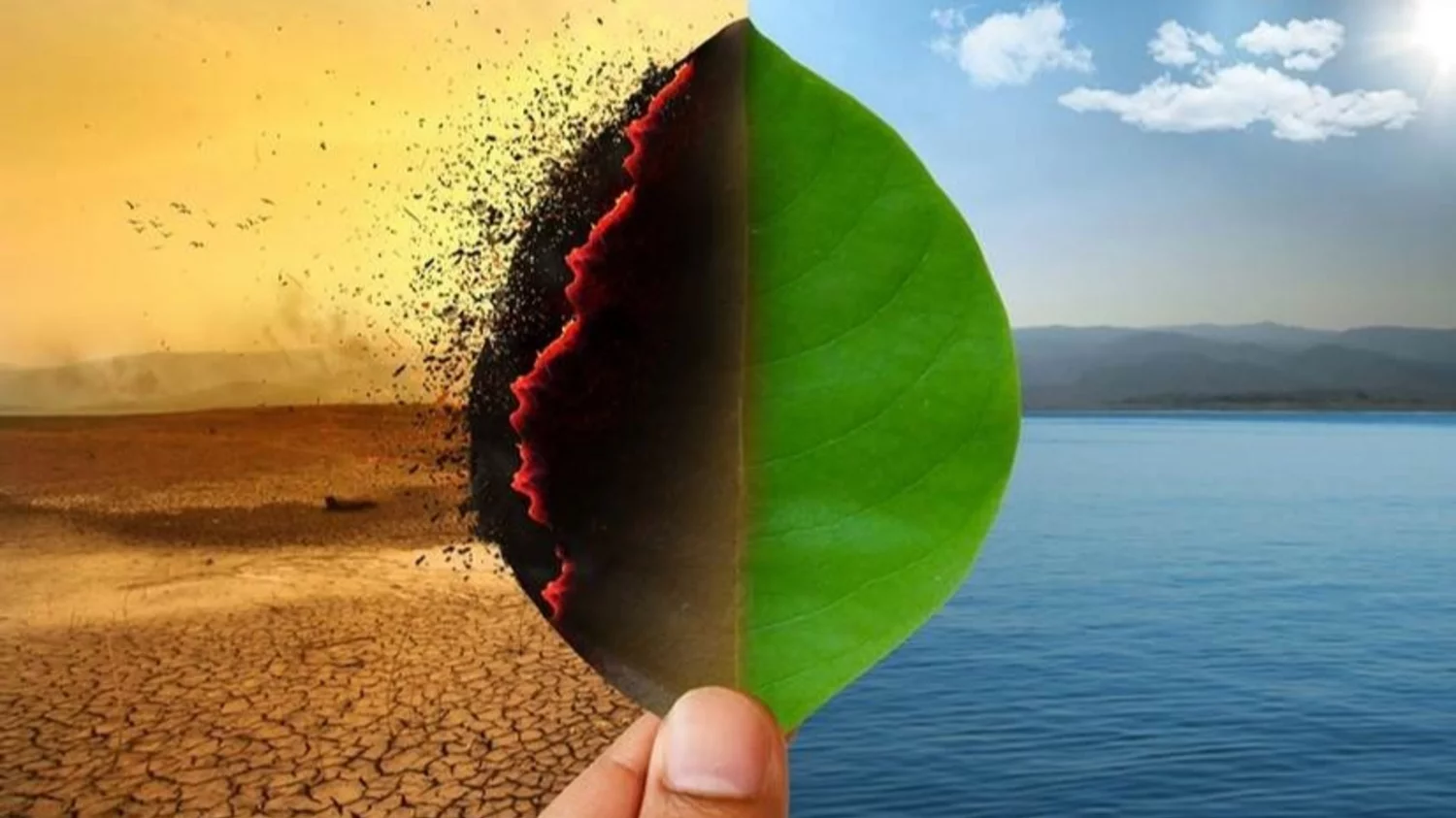 cambio climático cambio climático