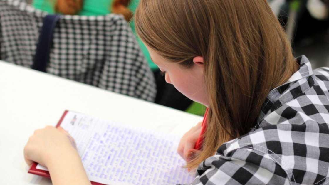 MINEDUC: Bachillerato en Ciencias y Letras  con orientación en Emprendimiento y Productividad